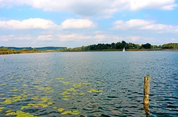 Chiemsee