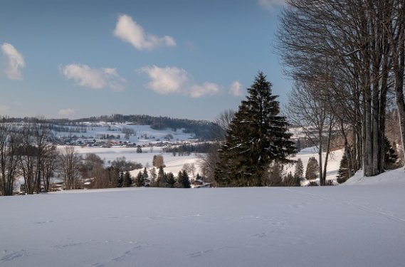 Kapfwald