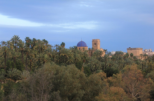 Elche