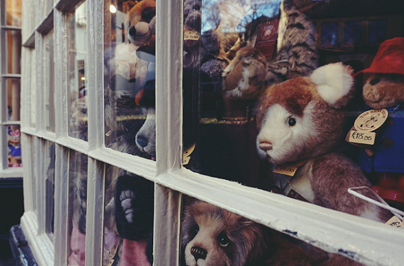 Bearschop Norwich