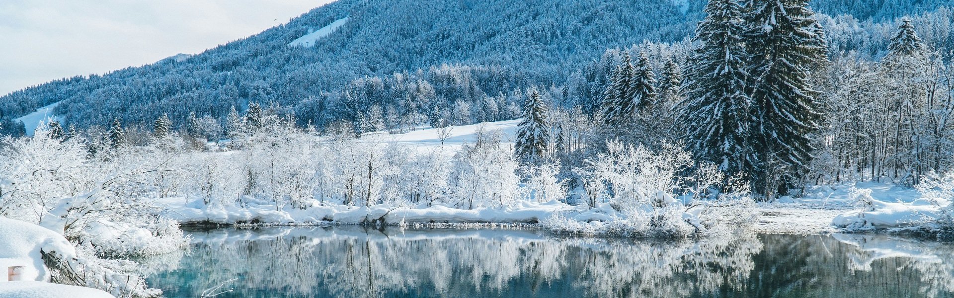 Alpentoppen banner