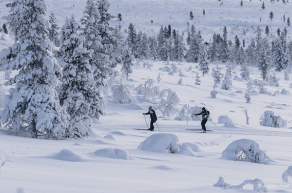 langlaufen in de sneeuw langlaufen in de sneeuw