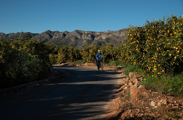 Via Verde