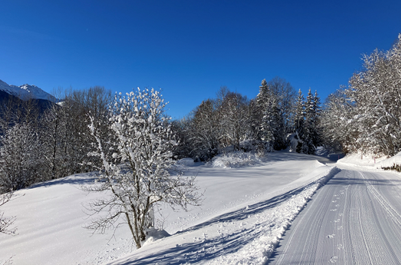 Besneeuwde pad