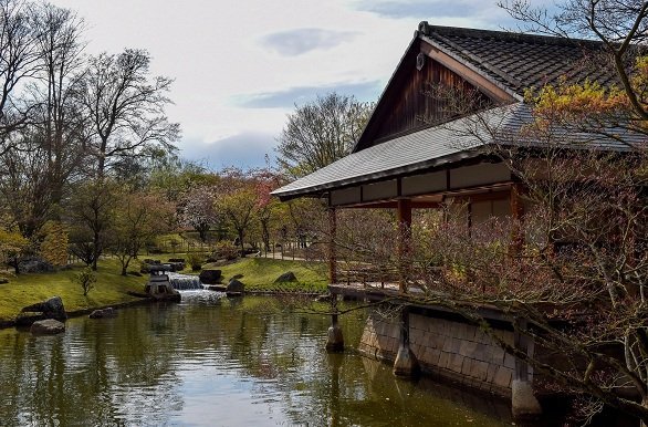 Japanse tuin